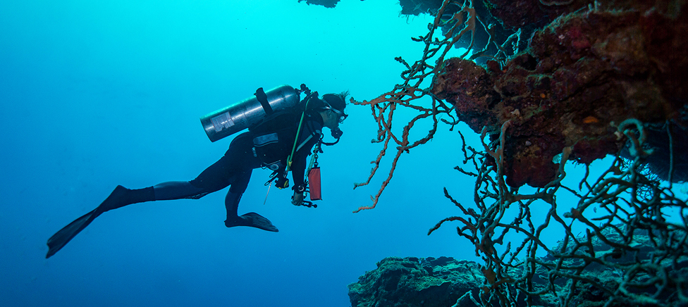 Scuba Diving In Hurghada