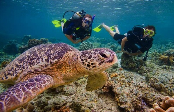 Discover Scuba Diving