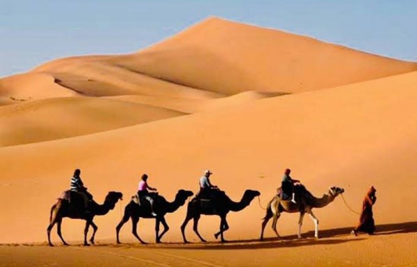 Desert Super Safari Trip