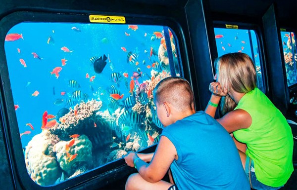 SeaScope Submarine Trip With transfer