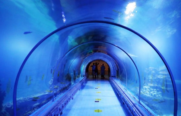 Hurghada Grand Aquarium Tours