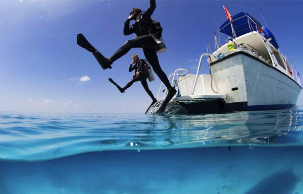 Daily  Diving Boat Trip