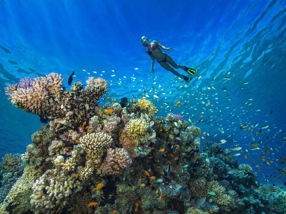 اهم المعالم السياحة في الغردقة