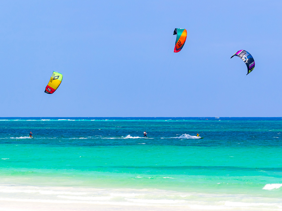 الغردقة صد رد